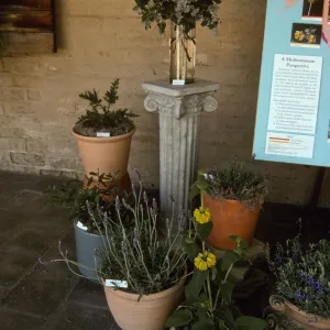 'The Global Garden: A Mediterranean Perspective', Garden Club exhibit, 1991