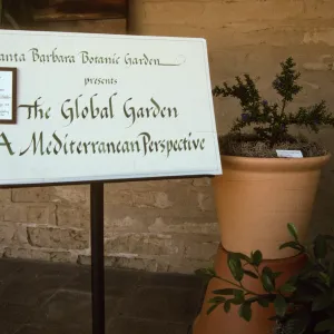 'The Global Garden: A Mediterranean Perspective', Garden Club exhibit, 1991