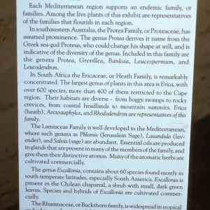 'The Global Garden: A Mediterranean Perspective', Garden Club exhibit, 1991