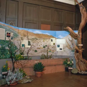 'Treasures of the Flora' exhibit, 1989