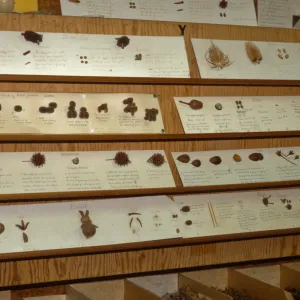 natural materials display, Garden Guild Open House, 1992