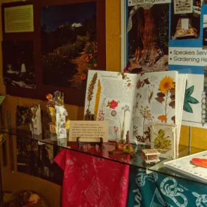 SBBG Display window at the Goleta Library, Garden Outreach Display