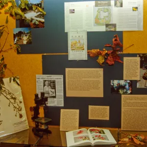 SBBG Display window at the Goleta Library, Garden Outreach Display