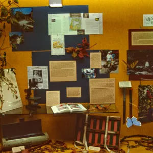SBBG Display window at the Goleta Library, Garden Outreach Display