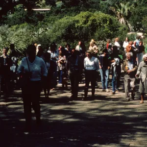 beginning of 'Ceanothus Walk', 1983