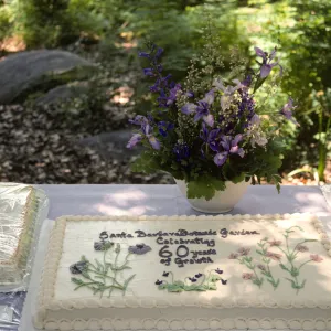 SBBG 60th Anniversary cake