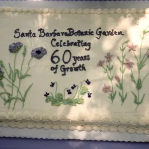 SBBG 60th Anniversary cake