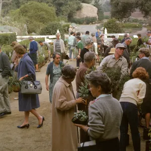 SBBG Fall Plant Sale, 1963