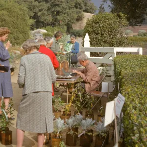 SBBG Fall Plant Sale, 1963