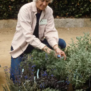 SBBG Fall Plant Sale, 1992
