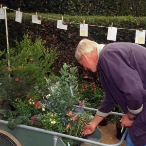 SBBG Fall Plant Sale, 1995