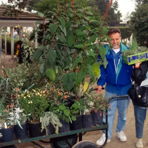 SBBG Fall Plant Sale, 1995