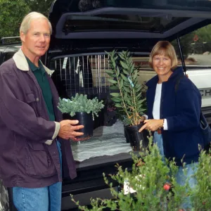SBBG Fall Plant Sale, 1995