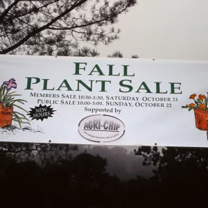 SBBG Fall Plant Sale, 1995