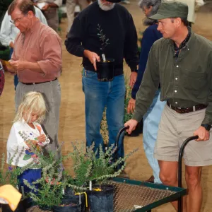 SBBG Fall Plant Sale, 1995