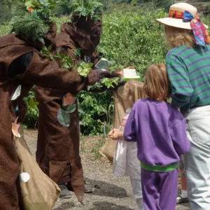 Wildflower Day, 1993
