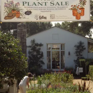 SBBG Fall Plant Sale, 1996