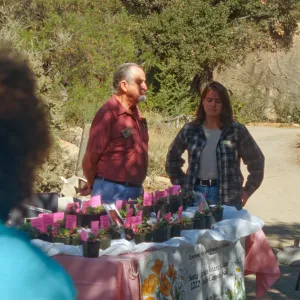 SBBG Fall Plant Sale, 1996