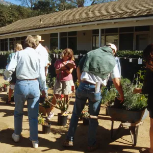 SBBG Fall Plant Sale, 1996