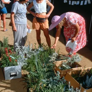 SBBG Fall Plant Sale, 1996