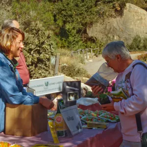 SBBG Fall Plant Sale, 1996