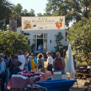 SBBG Fall Plant Sale, 1996