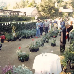 Fall Plant Sale, Preview Party, 2000