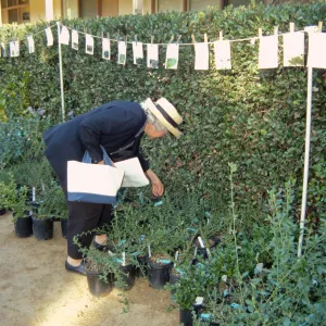Fall Plant Sale, Preview Party, 2000