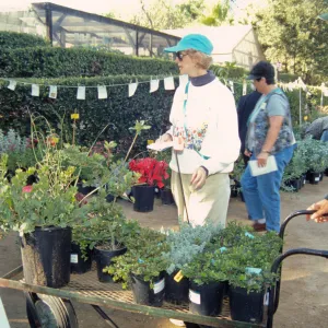 Fall Plant Sale, Preview Party, 2000
