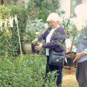 Fall Plant Sale, Preview Party, 2000