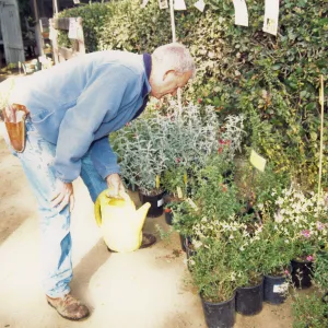 Fall Plant Sale, Preview Party, 2000