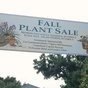 Fall Plant Sale, 2000
