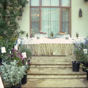 Fall Plant Sale, 2000
