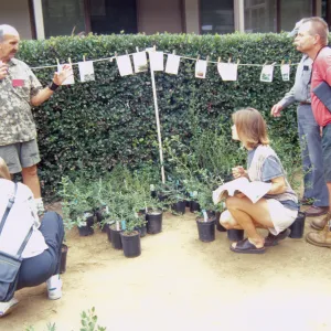 Fall Plant Sale, 2000