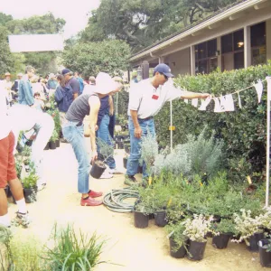 Fall Plant Sale, 2000