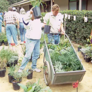 Fall Plant Sale, 2000