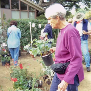 Fall Plant Sale, 2000
