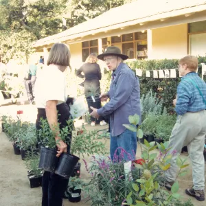 Fall Plant Sale, 2000