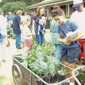 Fall Plant Sale, 2000