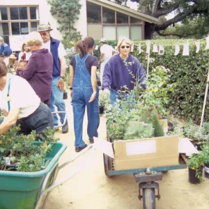 Fall Plant Sale, 2000