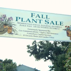 Fall Plant Sale, 2000