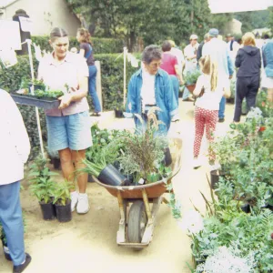 Fall Plant Sale, 2000