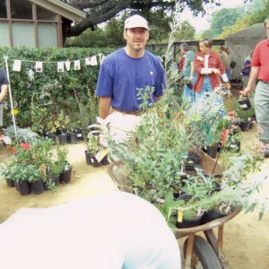 Fall Plant Sale, 2000