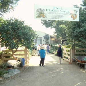 Fall Plant Sale, 2000