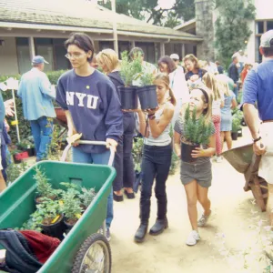 Fall Plant Sale, 2000