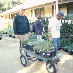 Fall Plant Sale, 2000