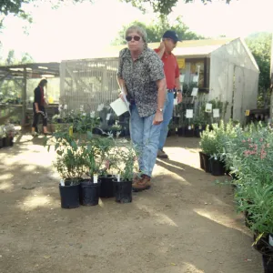 Fall Plant Sale, 2000