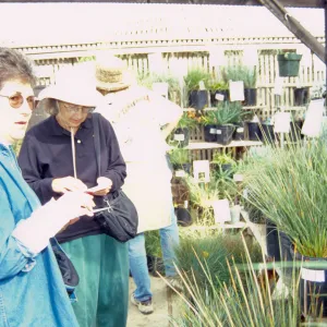 Fall Plant Sale, 2000