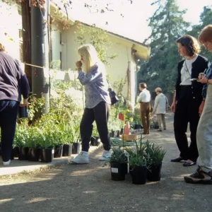 Fall Plant Sale, 2000