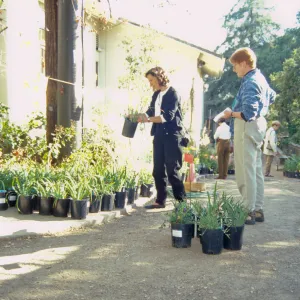 Fall Plant Sale, 2000